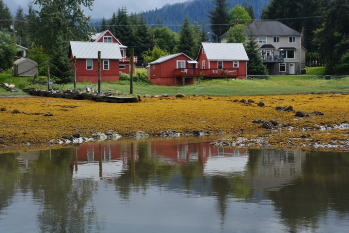 harbor coastline with houses
